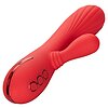 Vibrator Rabbit Palisades Passion Rosu Thumb 12