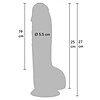 Hidden Desire dildo realist din PVC 25 cm, ergonomic Thumb 3