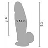 Hidden Desire Dildo Realist Din Silicon 22 cm Thumb 7
