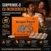 Dragon Power 6capsule Thumb 2