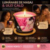 Massage Candle Shunga Aphrod 170g Thumb 3