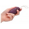 Vibrator 10 Speed Remote Vibrating Egg Big Mov Thumb 2