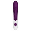 Pretty Love Rasmussen Purple, Dual Stimulator 30 Vibrații Mov Thumb 1