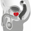 Vibrator Bărbați Pentru Prostată Twister Negru Thumb 18