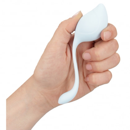 Loveline Pelvic Stem – Kit Kegel 5 Greutăți Discret Multicolor 3