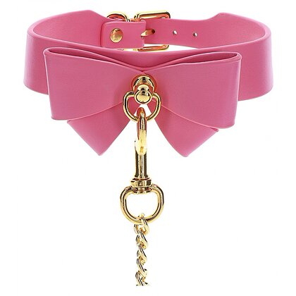 Collar and Leash Roz 3