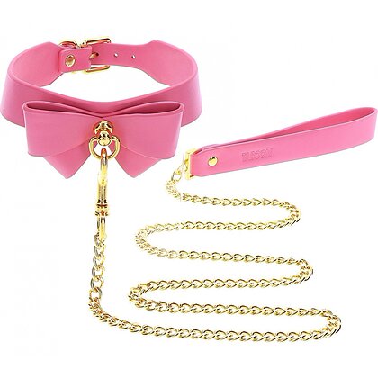 Collar and Leash Roz 2