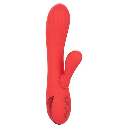 Vibrator Rabbit Palisades Passion Rosu