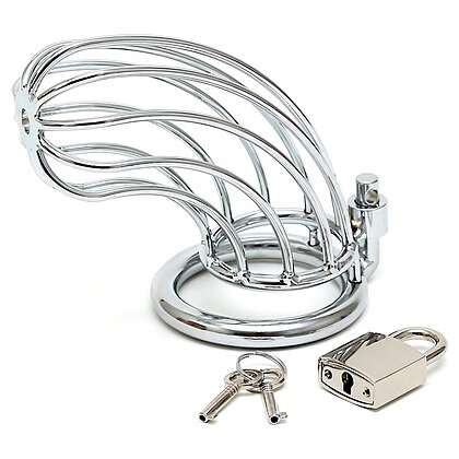 Cușca Chastity With Padlock Argintiu 2