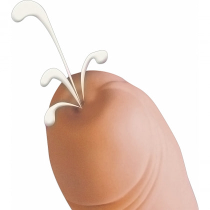 Dildo Realist Ejaculator cu Vene Pronunțate 7