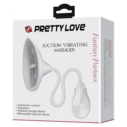 Pretty Love Passionate Lover Alb 4