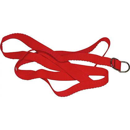 Set Bondage Bad Kitty Roșu 4