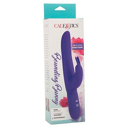 Vibrator Bounding Bunny Mov 3