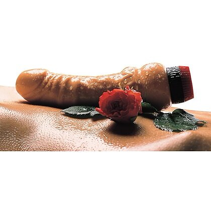 Vibrator You2Toys 17cm 2