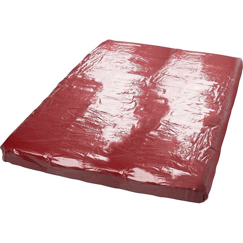 Vinyl Bed Sheet Red