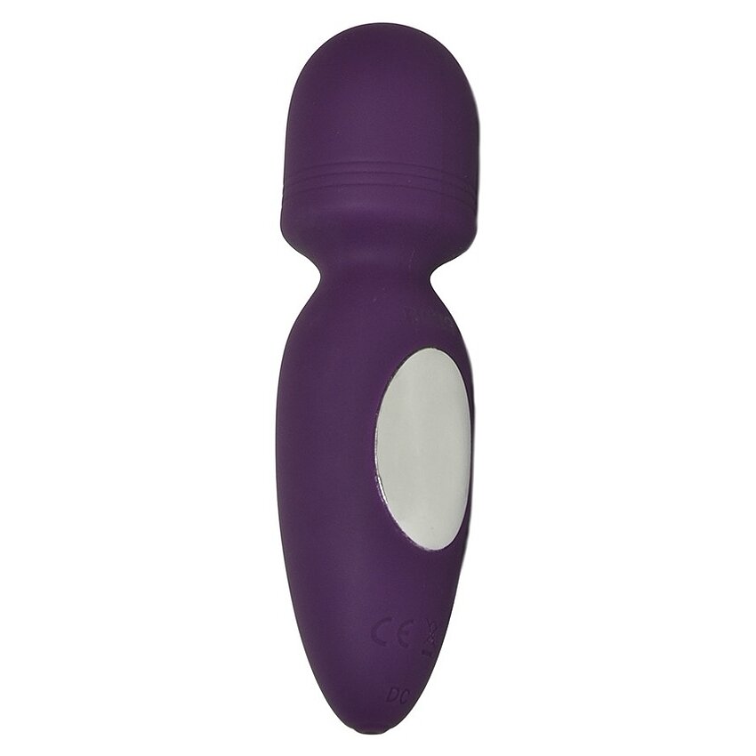 Vibrator Mini Rezistent La Apa Dus