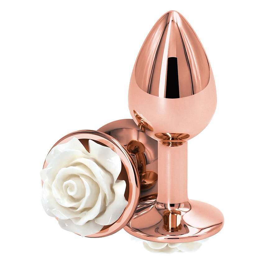 Plug Anal Metalic Mic Pentru Incepatori