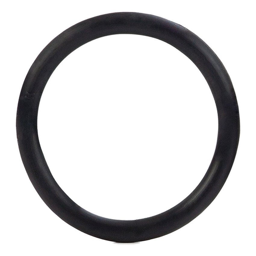 Rubber Ring Large Negru